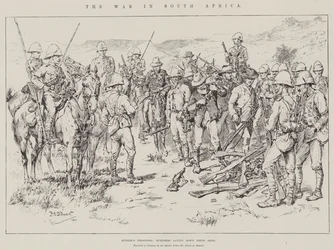 The War in South Africa